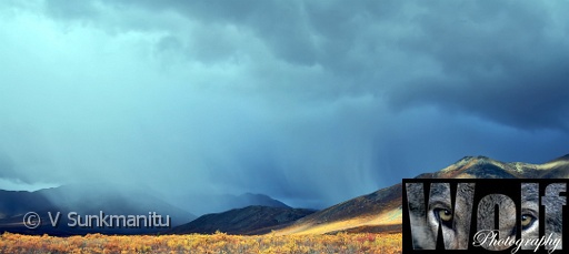 Yukon wilderness 010 Copyright Villayat Sunkmanitu.jpg